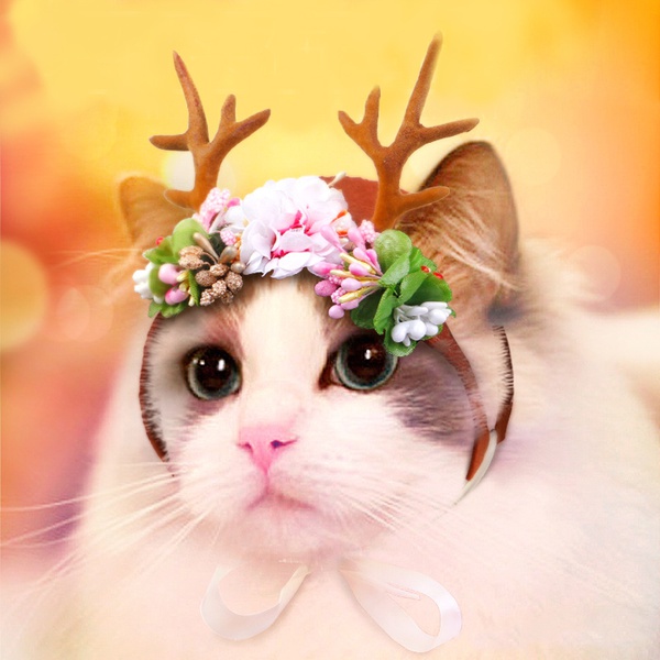 Pet Headdress Christmas Antlers